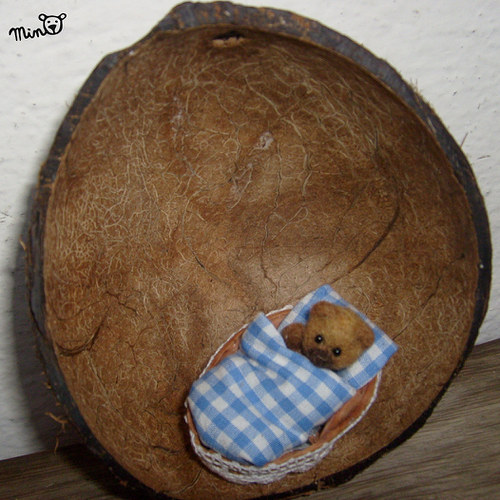 Oříšek v oříškách — foto 1