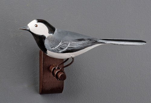 Konipas bílý (Motacilla alba) — foto 1