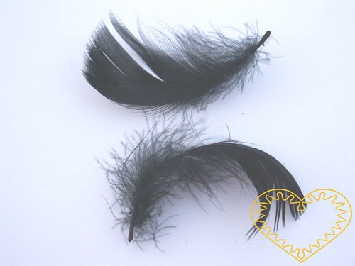 Peříčka černá - balení 15 g (cca 250 kusů)