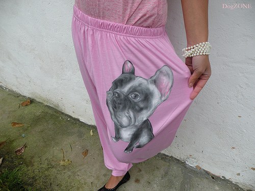 Frenchie na pohodu.....tepláčky — foto 1
