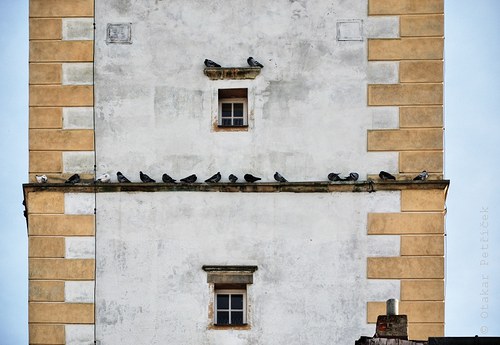 Okénka - radniční