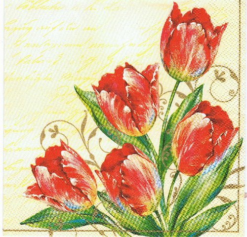 KV 166 - ubrousek 33x33 - červené tulipány