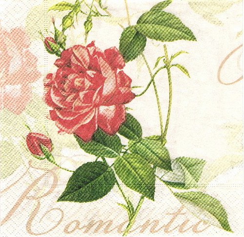 KV 423 - ubr.33x33-růž.romantic