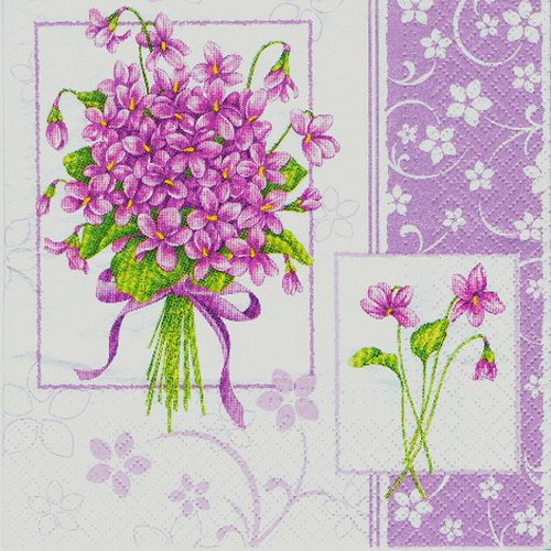 KV 430 - ubr.33x33-lila fialky