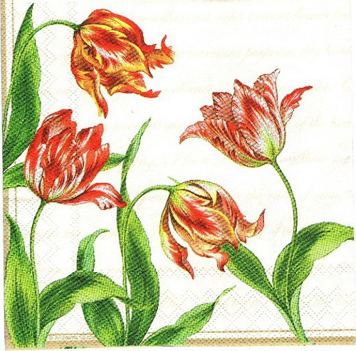 KV 441 AMBIENTE- ubr.33x33-tulipánky