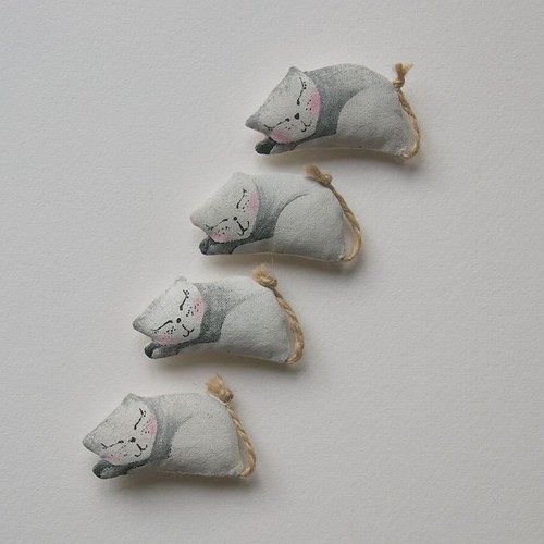 Pocket cat- Kotě do kapsy — foto 1
