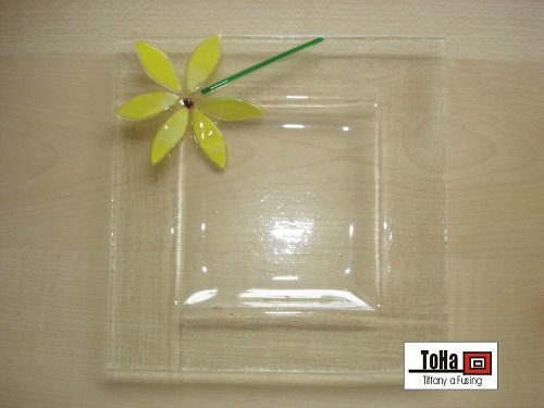 Talířek kytka — foto 1
