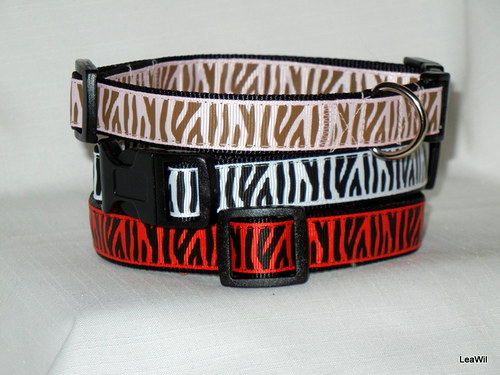 Obojek ryps 2cm divoká zebra