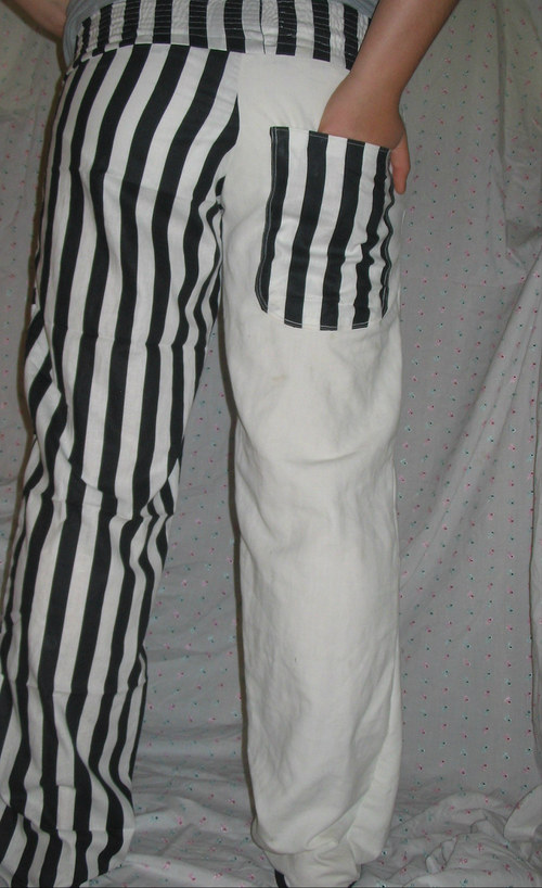 Zebra ve vězení — foto 1