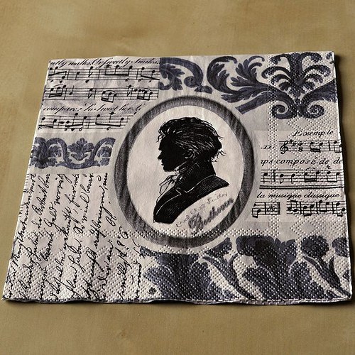 Ubrousek - Beethoven — foto 1