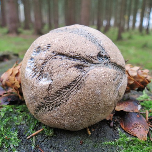Řebříčkový kamínek — foto 1