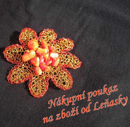 Nákupní poukaz 100 Kč u prodejce Leňaska