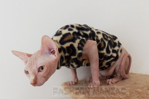 Mikča pro Sphynxe- zvířecí vzor — foto 1