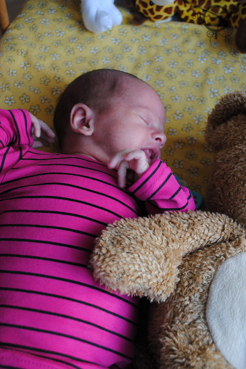 Růžové s černým pruhem, vel. 0-3 M — foto 1