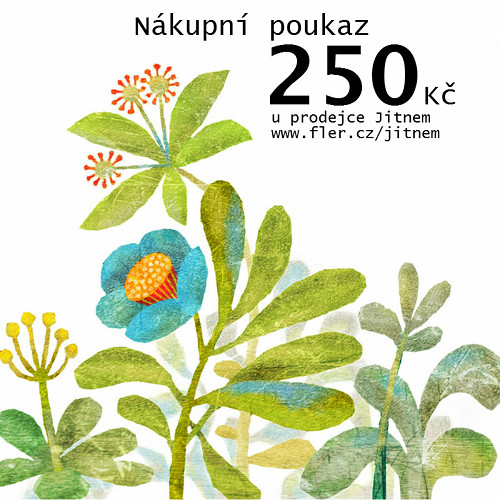 Nákupní poukaz 250 Kč u prodejce jitnem — foto 1