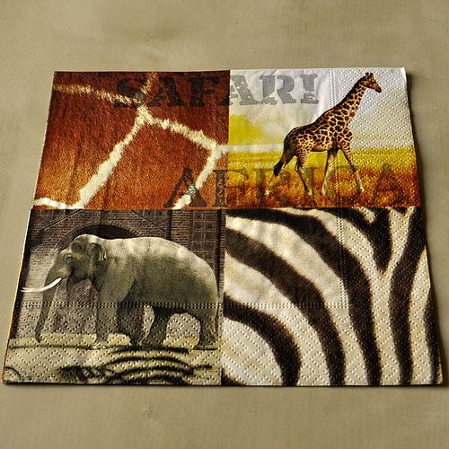 Ubrousek - Safari — foto 1