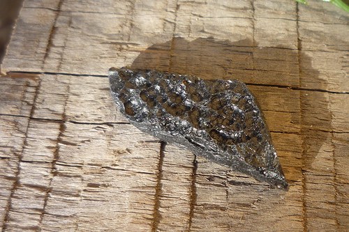 Tektit, meteorit č. L8313 — foto 1
