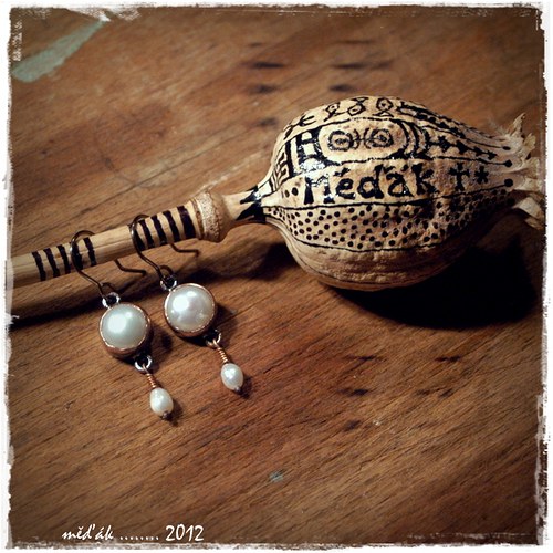 Úsměv ledních medvědů......... — foto 1