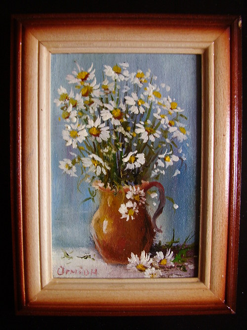 Kopretiny — foto 1
