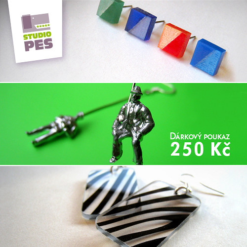 Nákupní poukaz 250 Kč u prodejce Studio PES — foto 1
