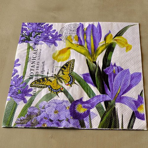 Ubrousek - Iris — foto 1