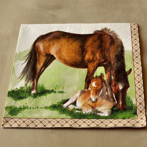 Ubrousek - Klisna a hříbátko — foto 1