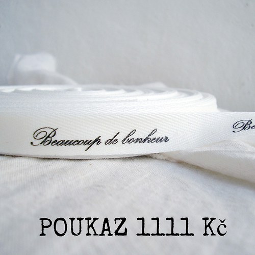 Nákupní poukaz 1111 Kč u prodejce Tony Zieglerová