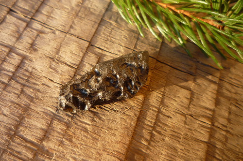 Tektit, meteorit č. L8447 — foto 1