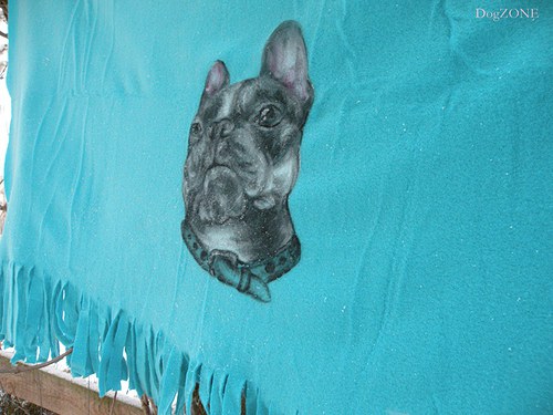 Bulďa...deka — foto 1
