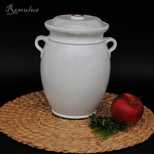 Kvašák bílý (2,4 l) — foto 1