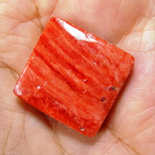 Spondylus - kabošon č.9 — foto 1