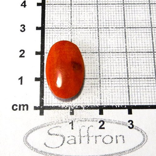 Spondylus - kabošon č.17 — foto 1
