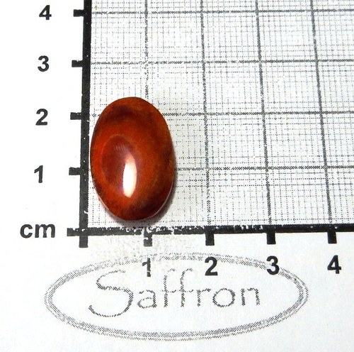 Spondylus - kabošon č.18B — foto 1