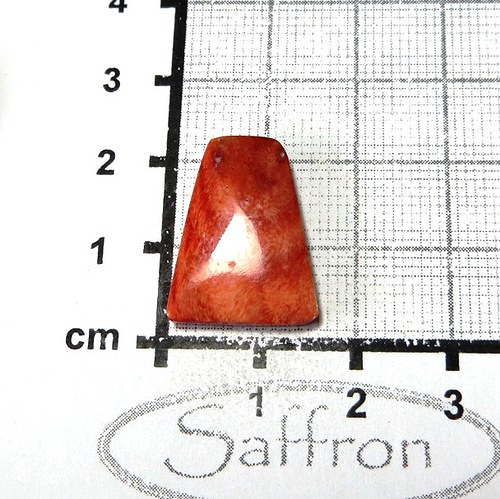 Spondylus - kabošon č.29 — foto 1
