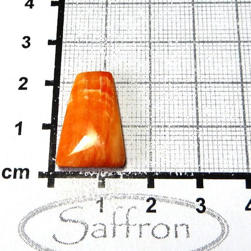 R Spondylus - kabošon č.31 — foto 1
