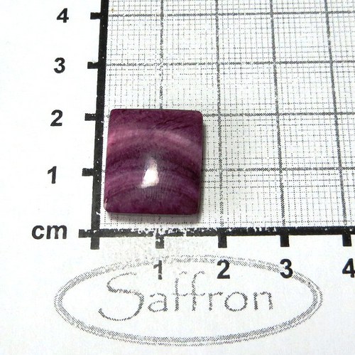 Spondylus - kabošon č.35 — foto 1