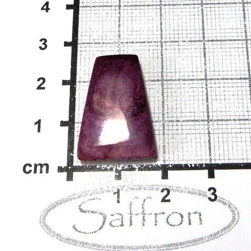 R Spondylus - kabošon č.36 — foto 1