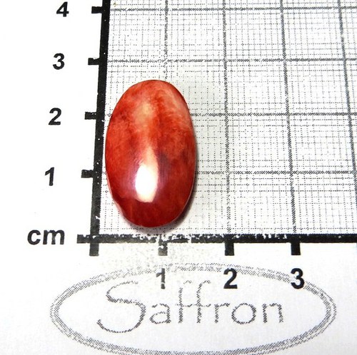 Spondylus - kabošon č.38 — foto 1