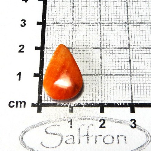 R Spondylus - kabošon č.39 — foto 1