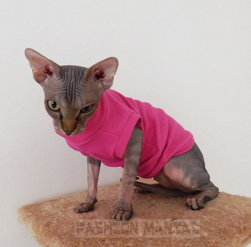 Triko pro Sphynx- vel. 0- ihned — foto 1