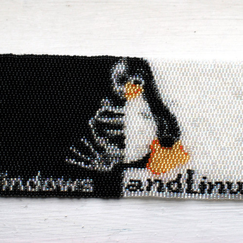 Windows is dead... LONG LIFE LINUX!!! — foto 1