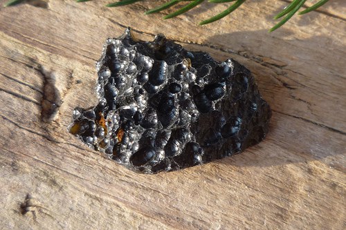Tektit, meteorit č. L8761 — foto 1