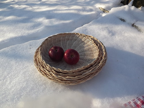 Sada ošatek — foto 1