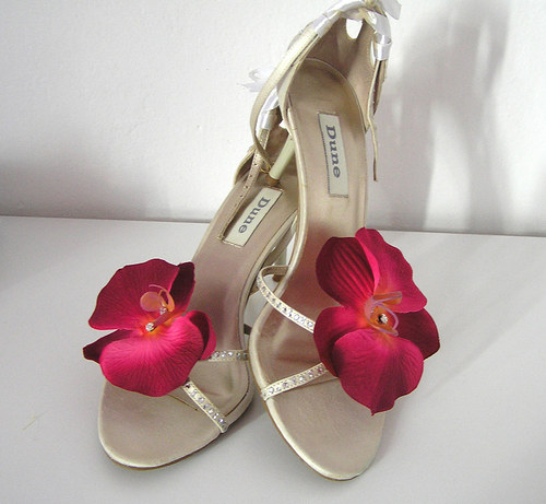 Orchideje na botky — foto 1