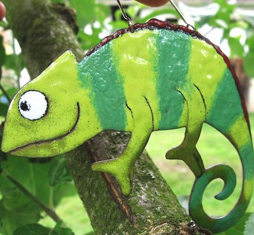 Chameleon proužkatý — foto 1