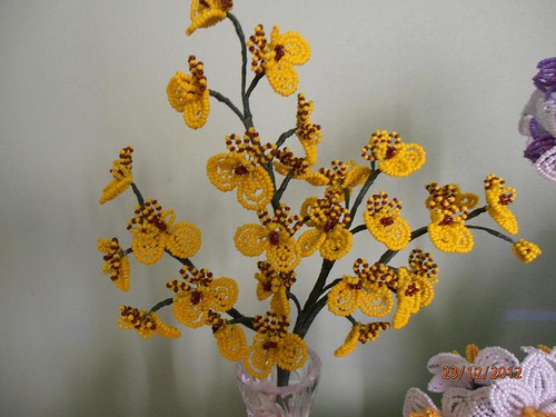 Oncidium orchidej-zápich — foto 1