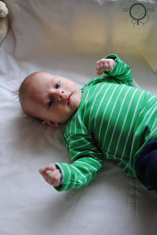 Zelené s pruhem, vel. 3-6 M — foto 1