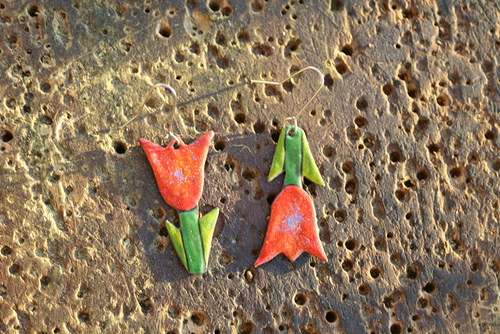 Tulipány — foto 1