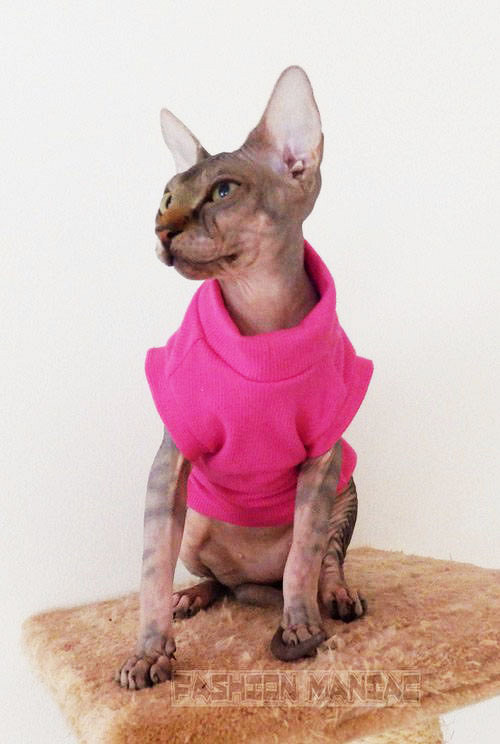 Triko pro Sphynxe — foto 1