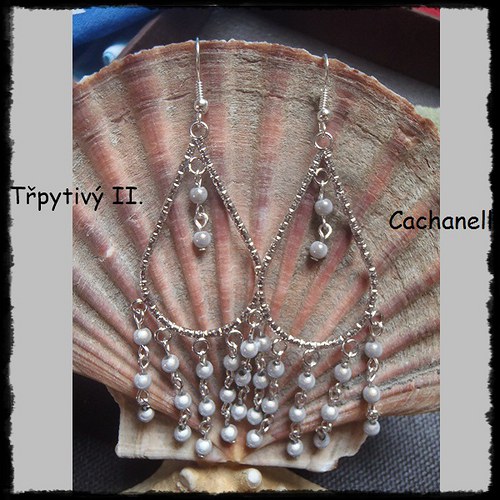 Třpytivý II. — foto 1
